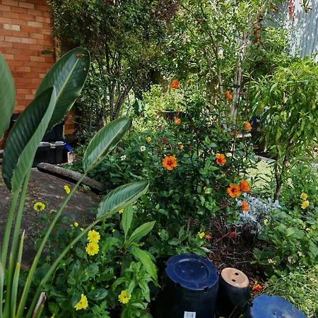 The Bank Guesthouse Glen Innes-2